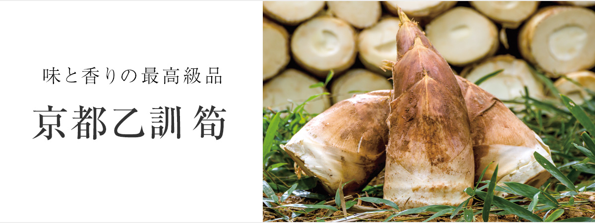 味と香りの最高級品 京都乙訓筍